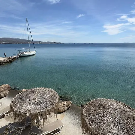 King Saron Hotel 4*